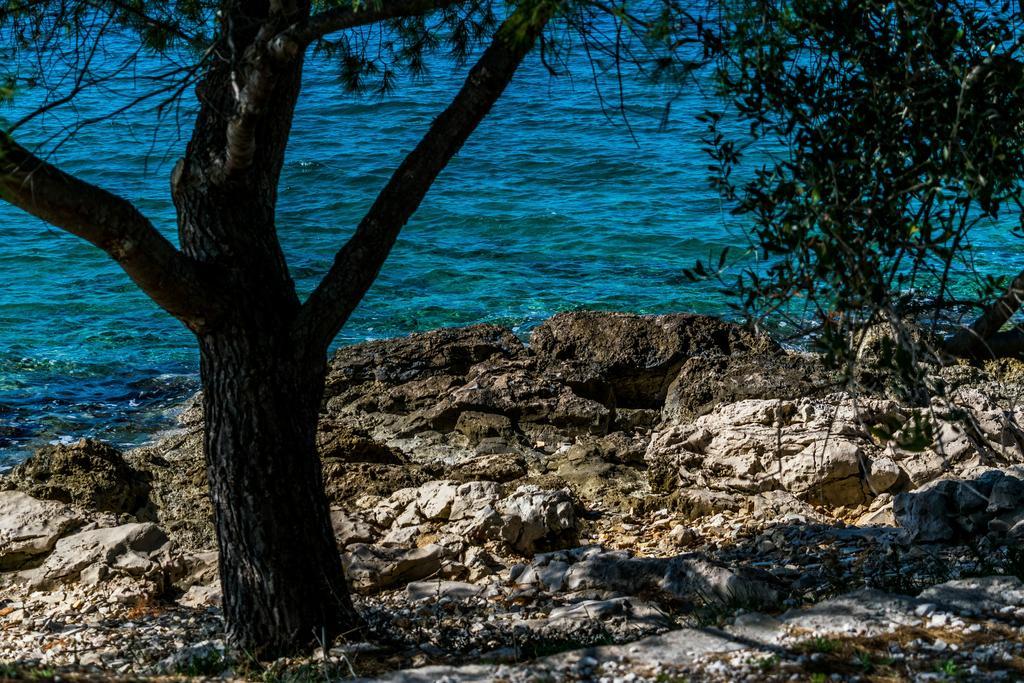 Ducina Apartment Milna (Brac)